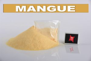 Mangue